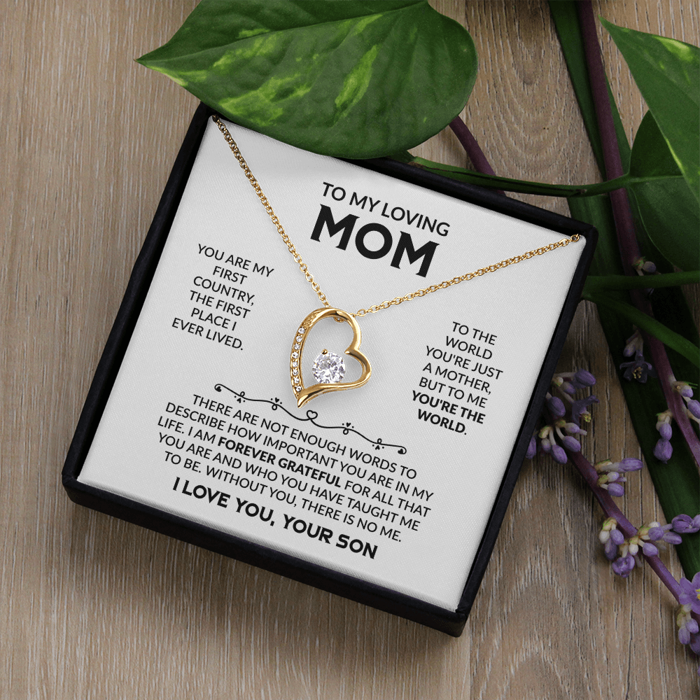 To My Loving Mom Gift From Son